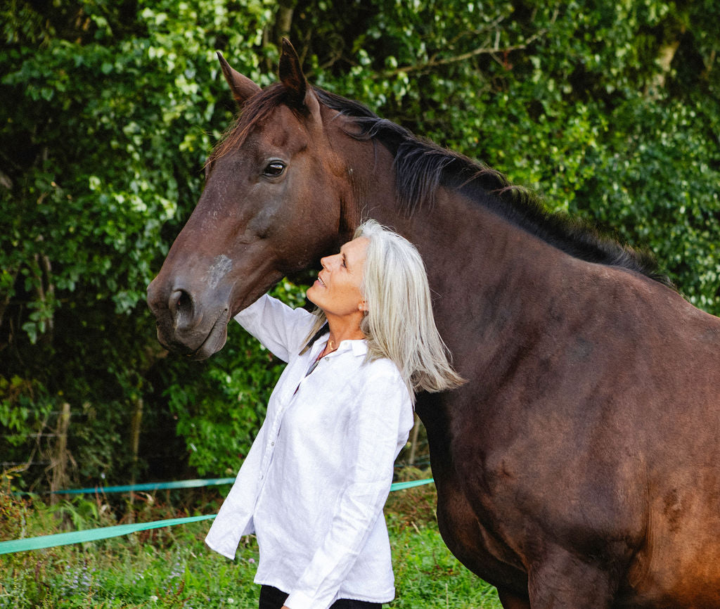 Equine Therapy